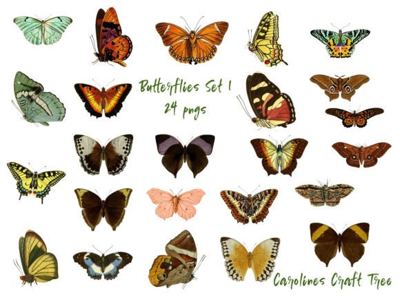 Download Butterfly Cutouts Set 1 - Premium Resources